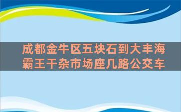 成都金牛区五块石到大丰海霸王干杂市场座几路公交车