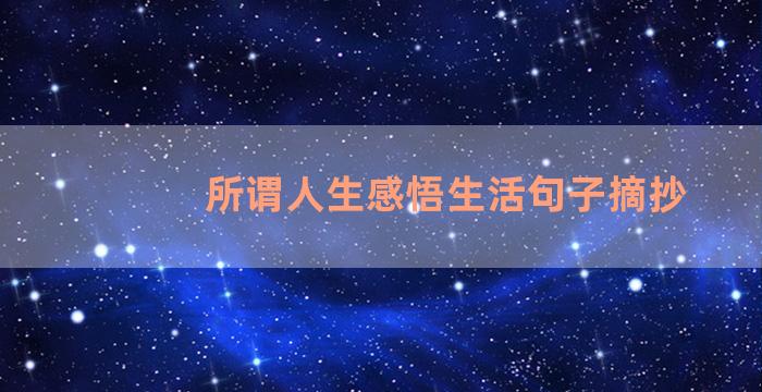 所谓人生感悟生活句子摘抄