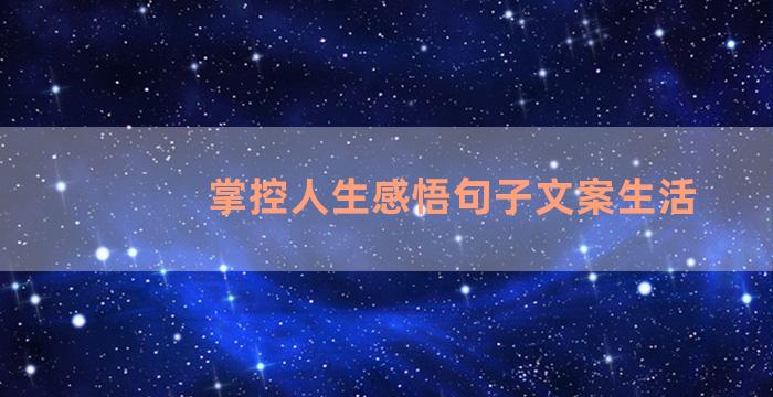 掌控人生感悟句子文案生活