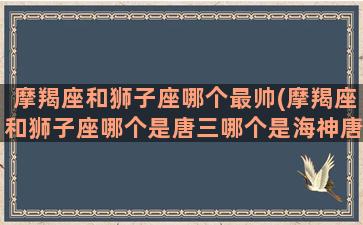 摩羯座和狮子座哪个最帅(摩羯座和狮子座哪个是唐三哪个是海神唐三)