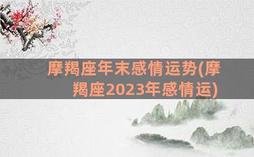 摩羯座年末感情运势(摩羯座2023年感情运)