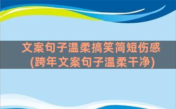 文案句子温柔搞笑简短伤感(跨年文案句子温柔干净)