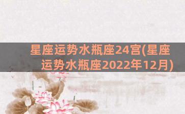 星座运势水瓶座24宫(星座运势水瓶座2022年12月)