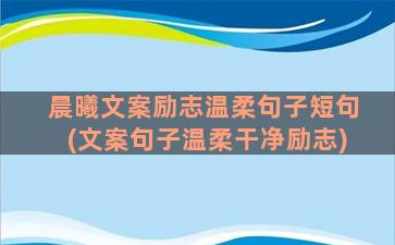 晨曦文案励志温柔句子短句(文案句子温柔干净励志)