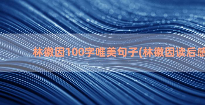 林徽因100字唯美句子(林徽因读后感100字)