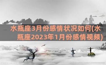 水瓶座3月份感情状况如何(水瓶座2023年1月份感情视频)