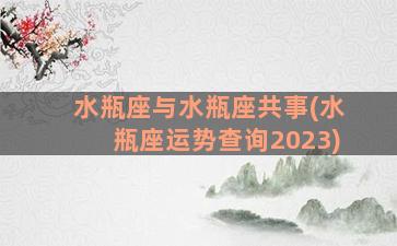 水瓶座与水瓶座共事(水瓶座运势查询2023)