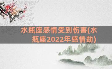 水瓶座感情受到伤害(水瓶座2022年感情劫)