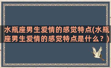 水瓶座男生爱情的感觉特点(水瓶座男生爱情的感觉特点是什么？)