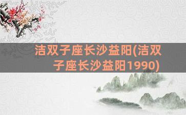 洁双子座长沙益阳(洁双子座长沙益阳1990)