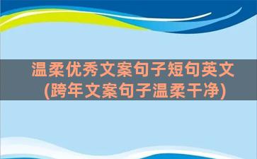 温柔优秀文案句子短句英文(跨年文案句子温柔干净)