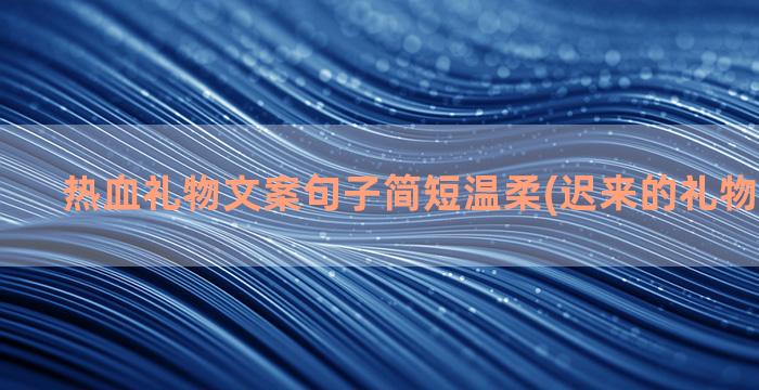 热血礼物文案句子简短温柔(迟来的礼物文案句子)