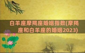 白羊座摩羯座婚姻指数(摩羯座和白羊座的婚姻2023)