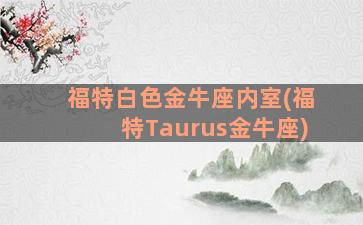 福特白色金牛座内室(福特Taurus金牛座)