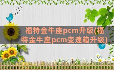 福特金牛座pcm升级(福特金牛座pcm变速箱升级)