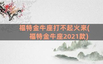 福特金牛座打不起火来(福特金牛座2021款)