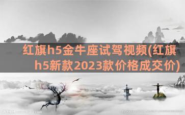 红旗h5金牛座试驾视频(红旗h5新款2023款价格成交价)