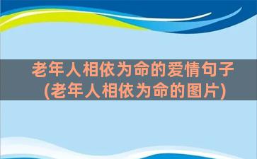 老年人相依为命的爱情句子(老年人相依为命的图片)