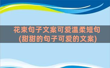 花束句子文案可爱温柔短句(甜甜的句子可爱的文案)