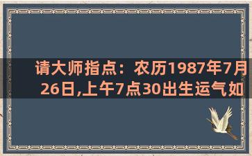 请大师指点：农历1987年7月26日,上午7点30出生运气如何。