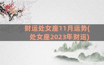 财运处女座11月运势(处女座2023年财运)