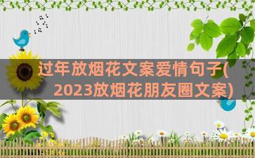 过年放烟花文案爱情句子(2023放烟花朋友圈文案)