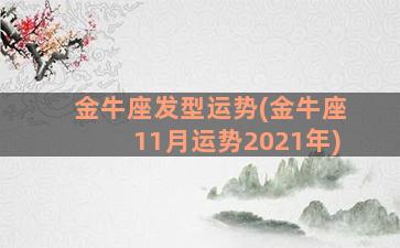 金牛座发型运势(金牛座11月运势2021年)