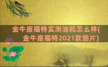 金牛座福特实测油耗怎么样(金牛座福特2021款图片)